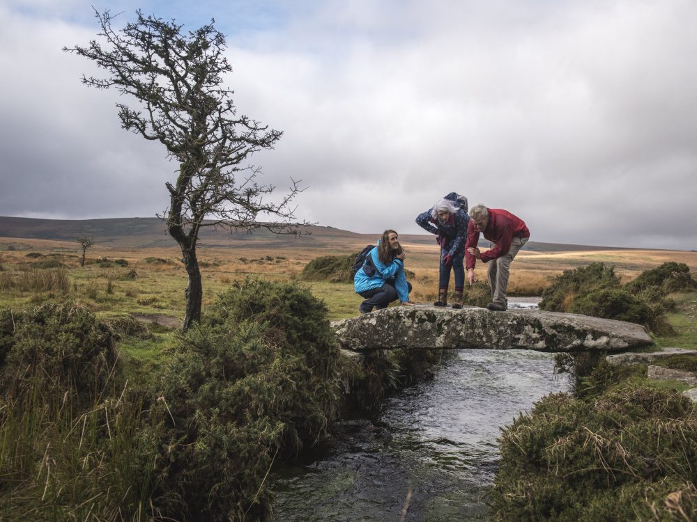 Foraging and dowsing in ancient Dartmoor